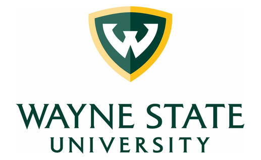 Bachelor of Fine Arts Degree (Transcript)